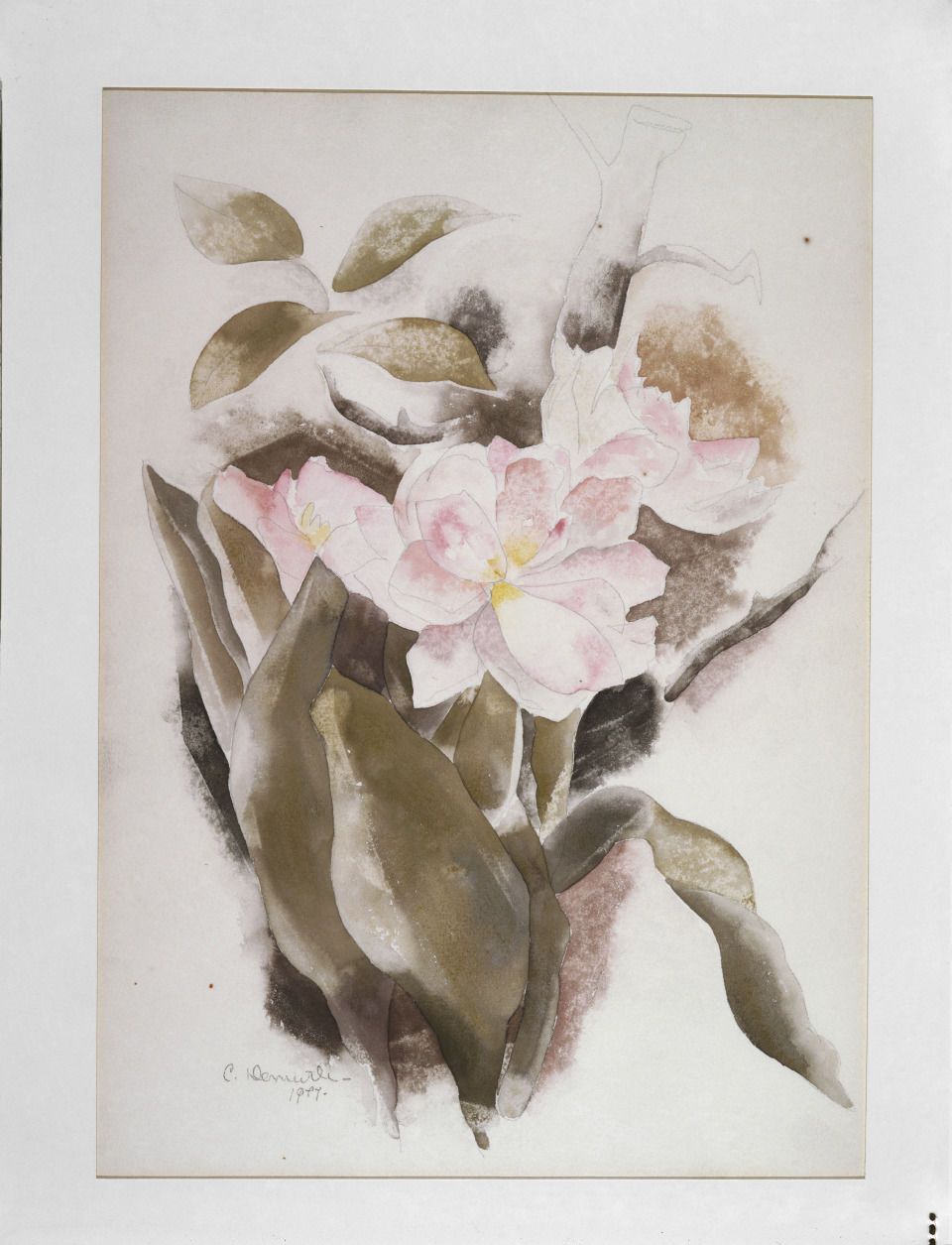 tulips